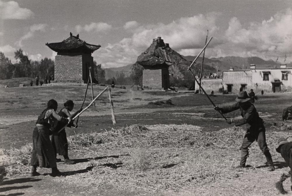 图片[1]-photographic print(black and white); album BM-1986-0313-0.1.185-China Archive